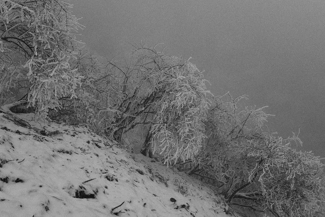 Xiling Snow Mountain